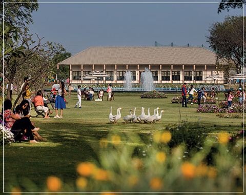 Builder Floor in Sohna Road